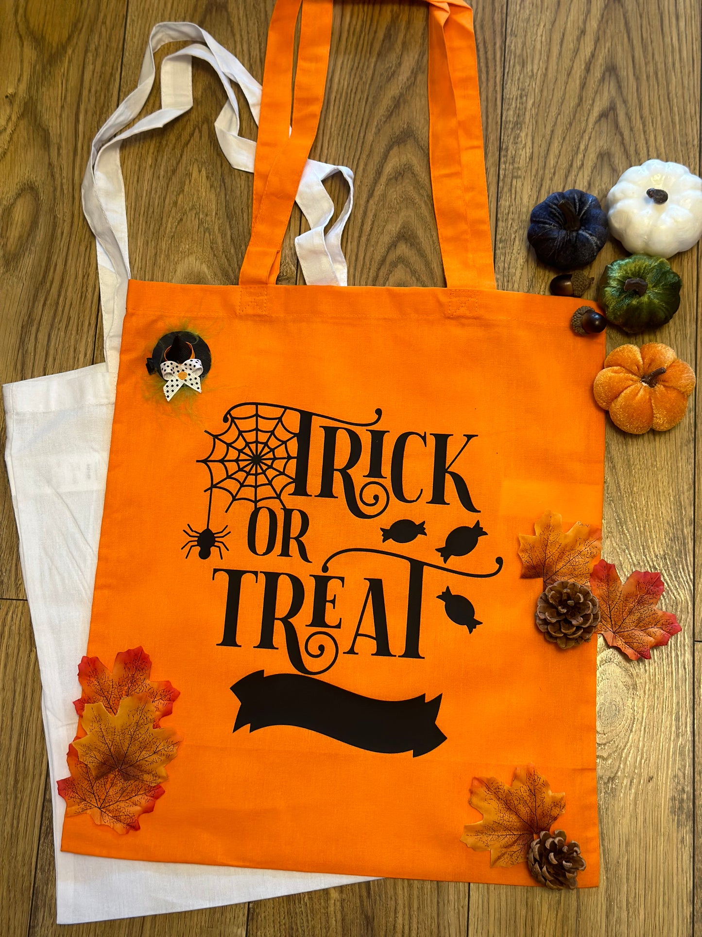 Trick or treating Bag